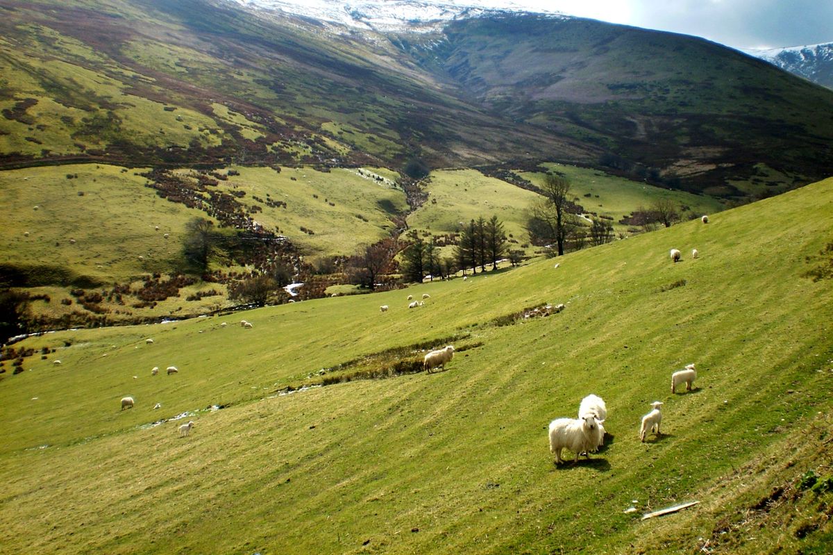 Farming unions have voiced disquiet about the proposed national park
