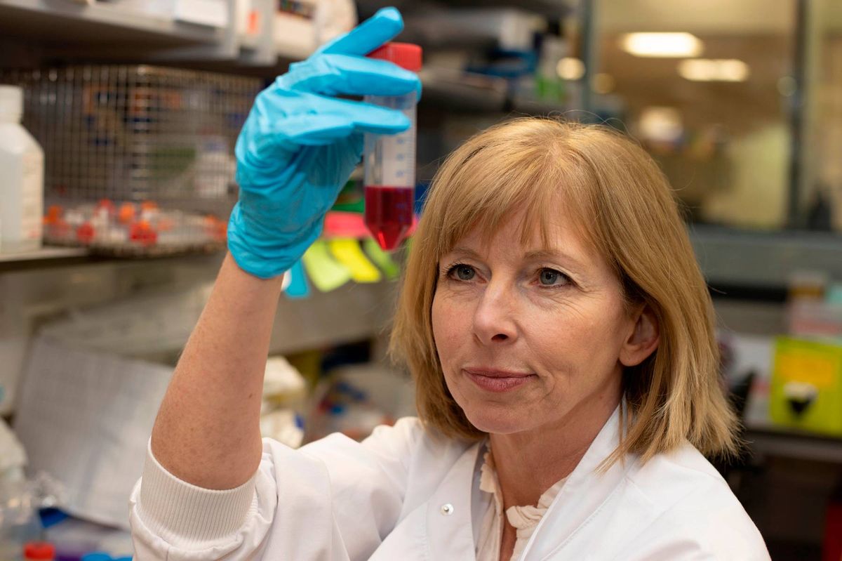 An individual in a white lab coat and blue gloves is holding a test tube with a red liquid inside, possibly engaged in scientific research within a laboratory setting.