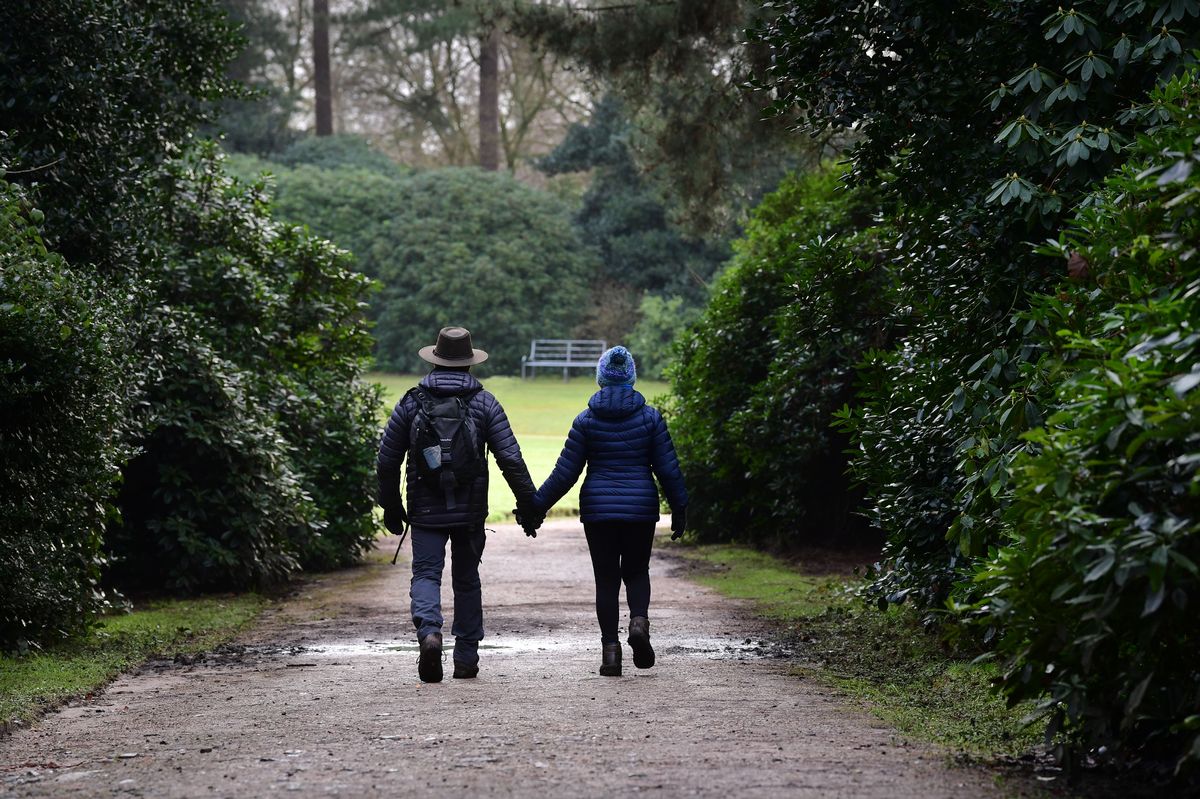 Enjoy a woodland walk at Speke Hall 