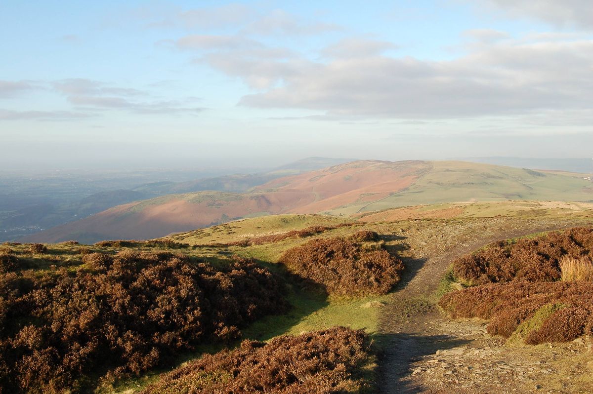 A view from the top of a hill covered in brown heather with a view of distant hills and a blue sky with clouds.The picture was taken on part of the Offas Dyke Path in The Clwydian Range in North Wales,UK.