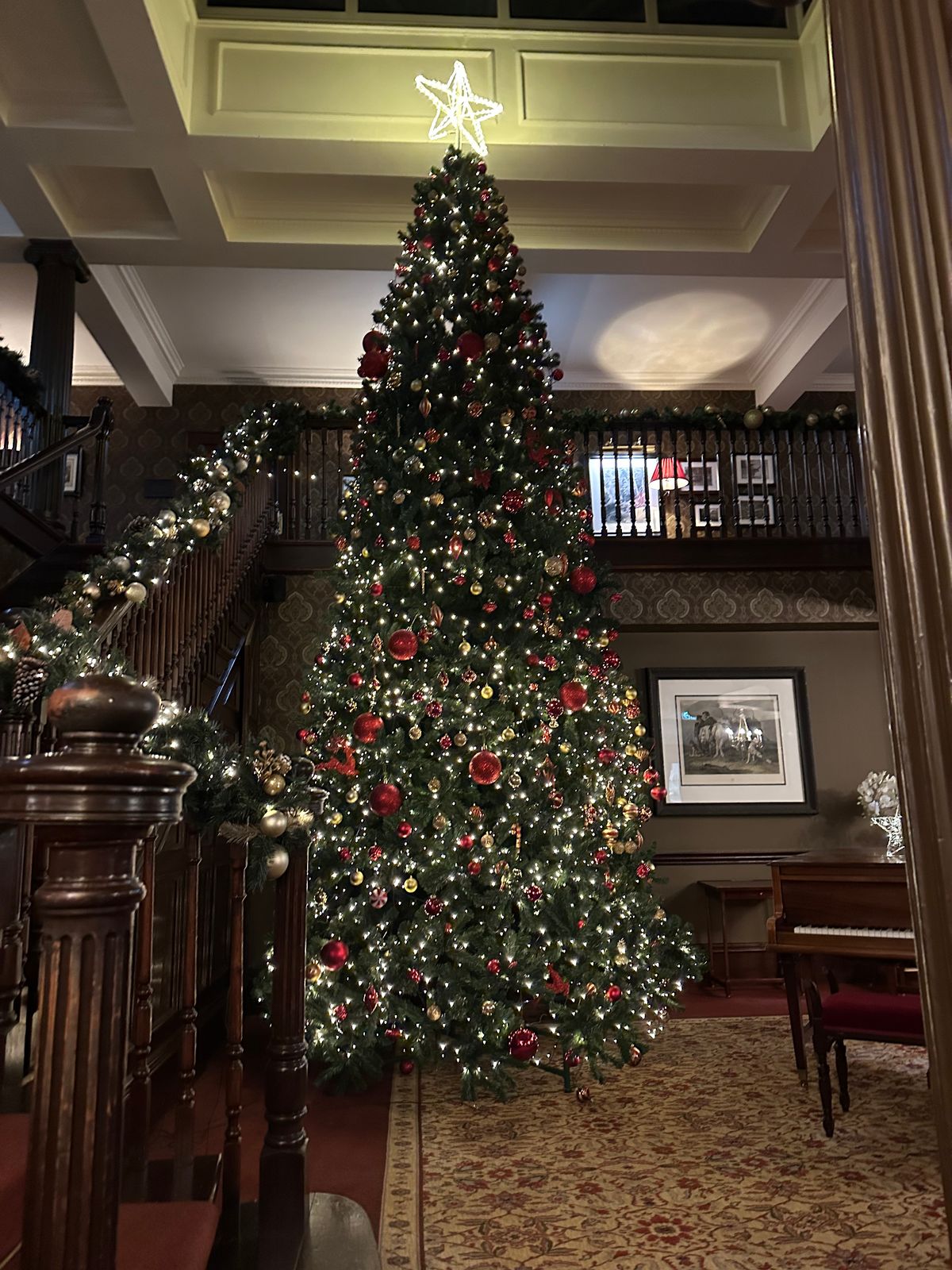 Thainstone House Christmas tree