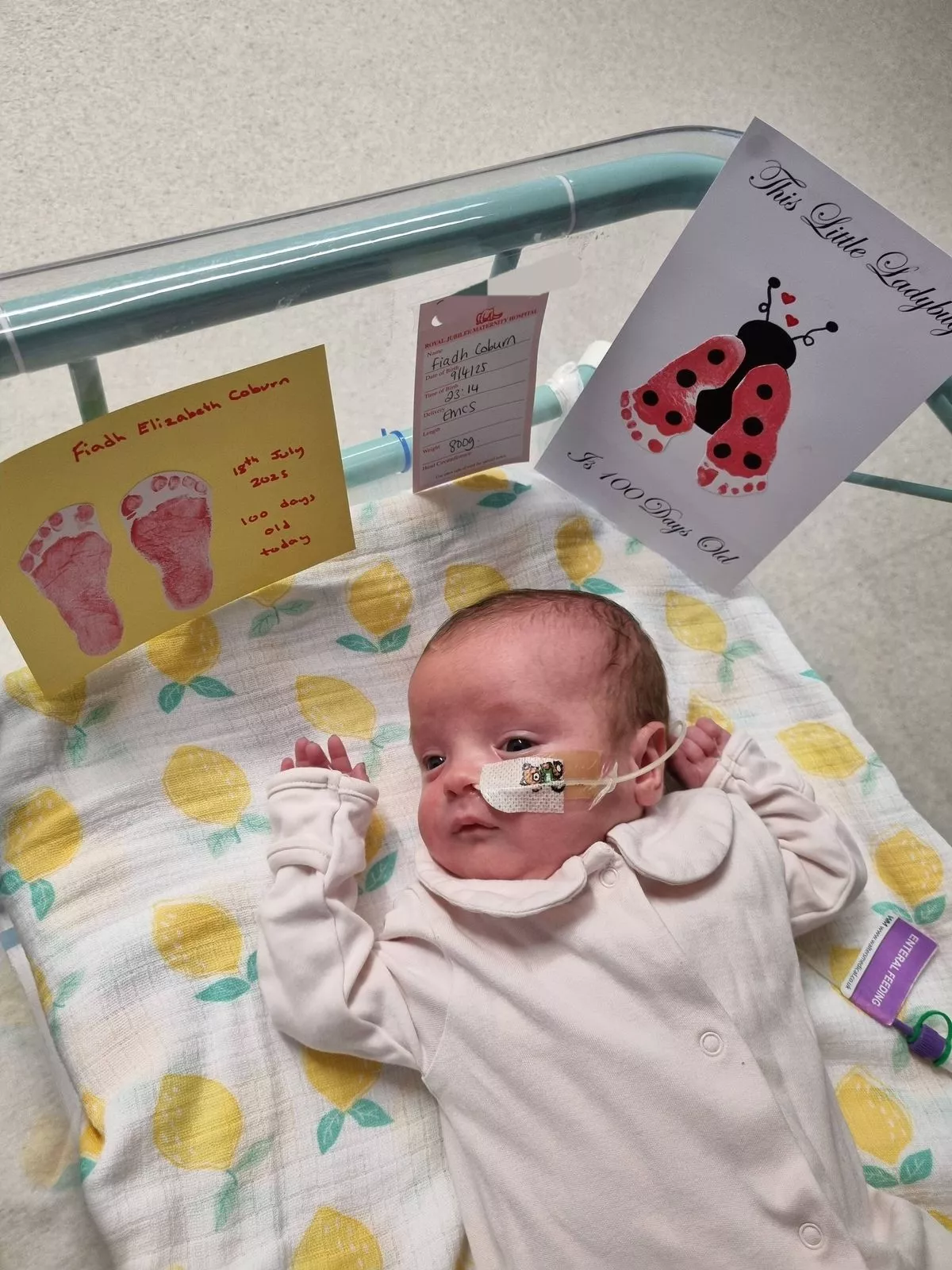 Undated family handout photo of Fiadh Coburn, who was born prematurely in April at 25 weeks, with cards made by the nurses, celebrating her 100th day. Issue date: Monday December 22, 2025.