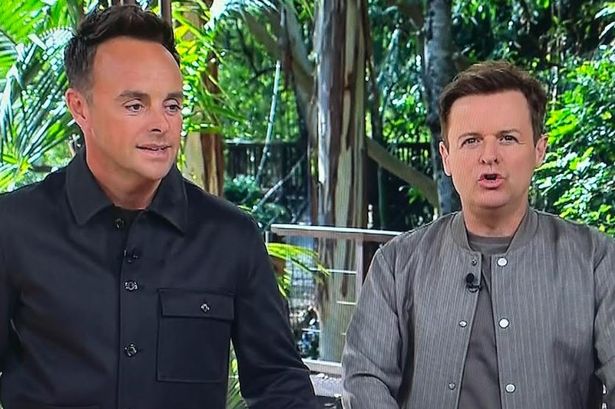 I'm A Celebrity hosts Ant and Dec
