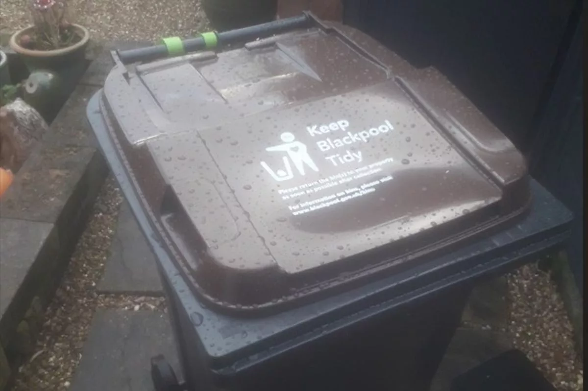 New brown bin