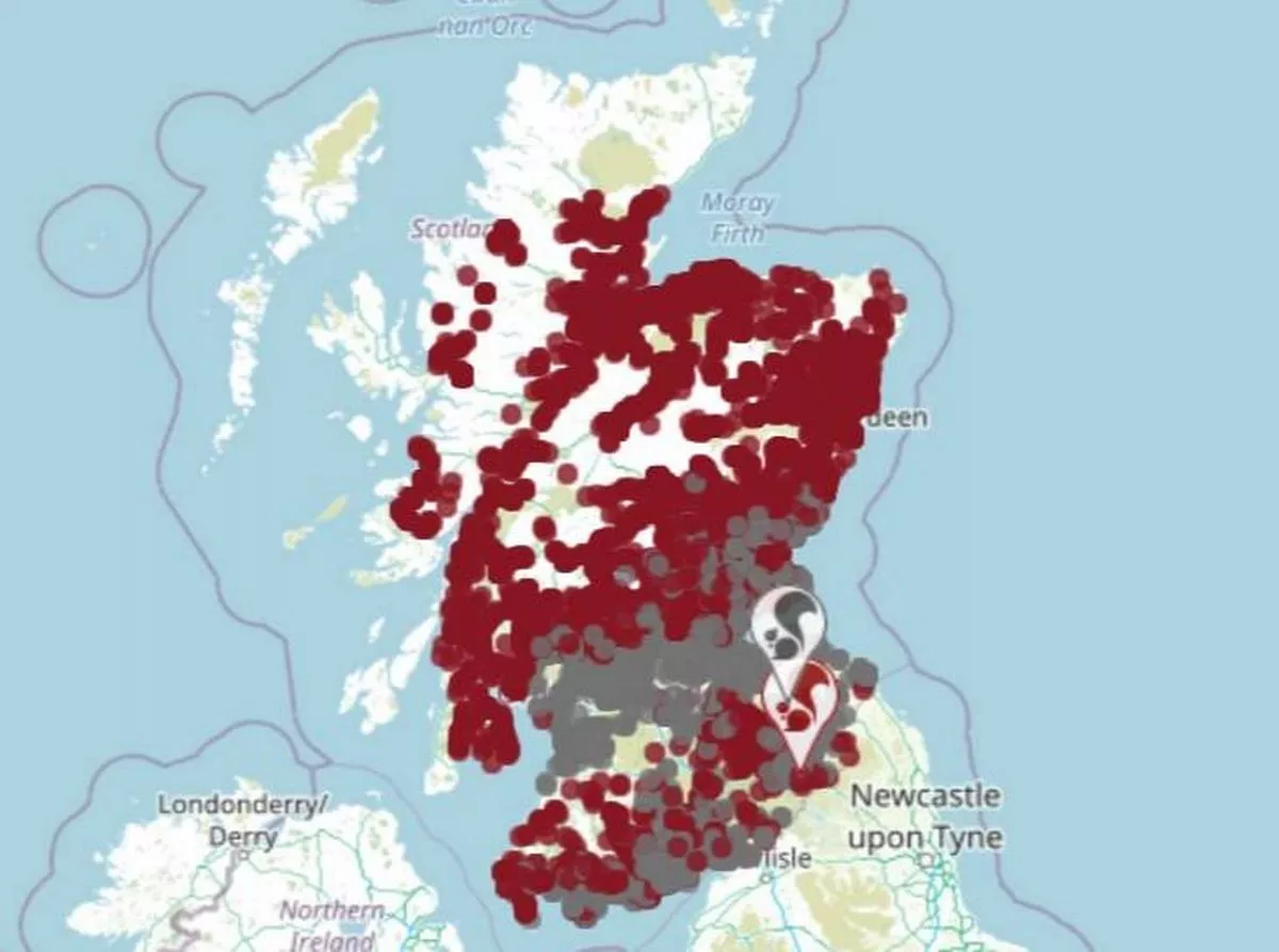 squirrel map of scotland