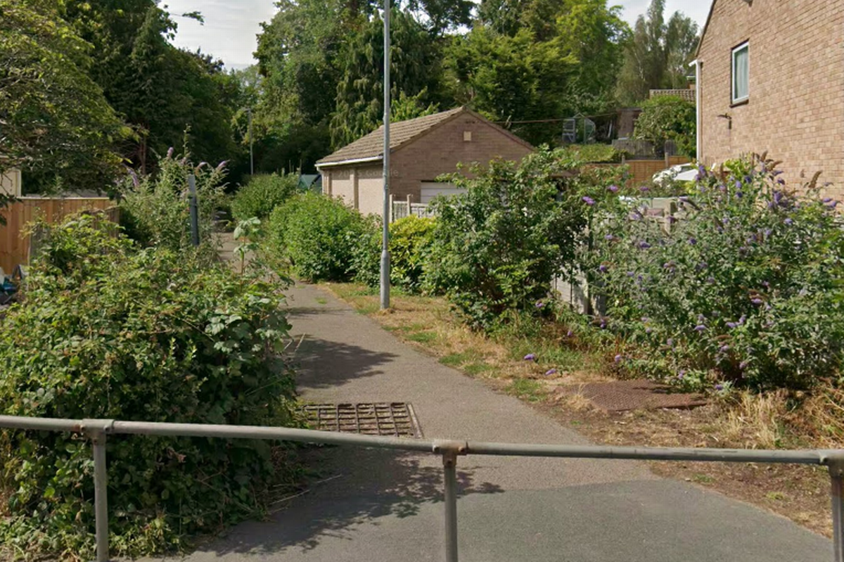 Two of the alleged incidents were reported on a footpath off St Davids Road