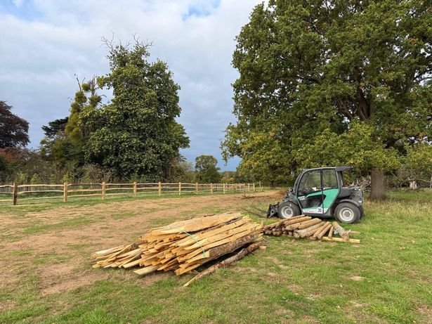 Windsor Great Park - Mirror online - Supplied