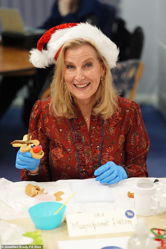 Sophie said in her video message: 'I'm Patron of MENCAP and Ellie is one of our amazing supporters. 'She has dispelled quite a number of perceptions of people with learning disabilities'