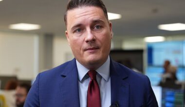 Wes Streeting (pictured) was accused of rolling the pitch for a leadership challenge after he used an interview to make the case for a ¿closer trading relationship¿ with Brussels