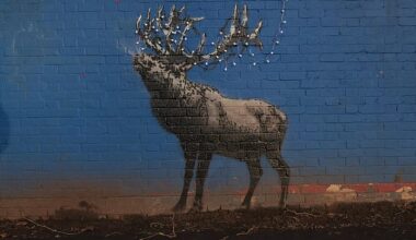 A new artwork by Banksy shows a reindeer adorned with Christmas lights on a wall of a disused tennis court changing rooms in London Fields, Hackney
