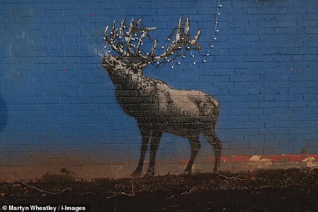 A new artwork by Banksy shows a reindeer adorned with Christmas lights on a wall of a disused tennis court changing rooms in London Fields, Hackney