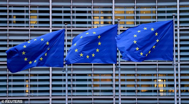 The agreement also states Brussels would have the 'ultimate authority' for disputes on how the rules are applied (file image)