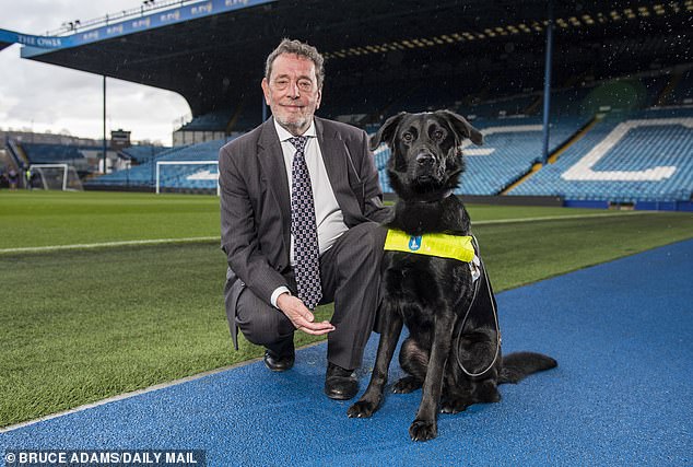 Lifelong Sheffield Wednesday supporter David Blunkett (pictured at Hillsborough in 2018) has called upon the EFL to withdraw current transfer embargoes on the club