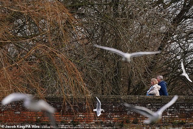 People walk across a bridge by flying seagulls in Stratford-upon-Avon in Warwickshire
