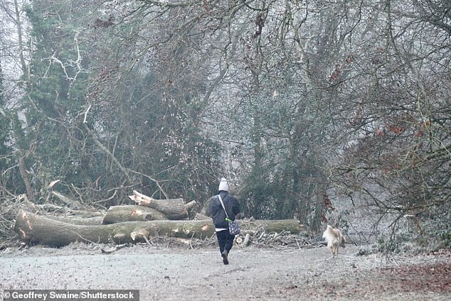 Walkers are seen out on a cold, frosty and foggy morning in the countryside in Oxfordshire