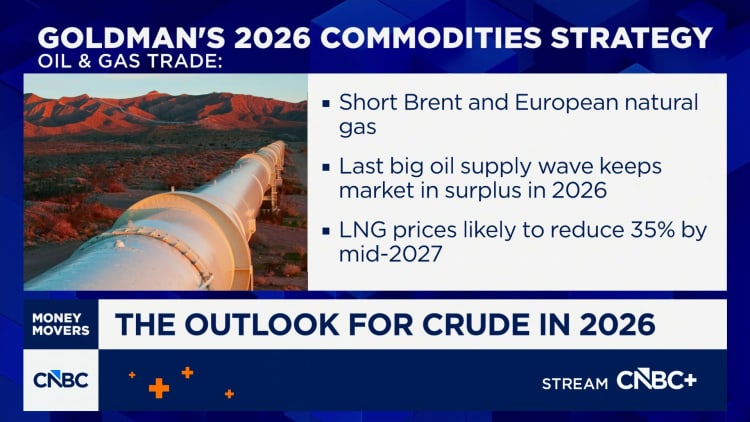 Goldman Sachs’ Samantha Dart on how the Russia-Ukraine war impacts the natural gas trade