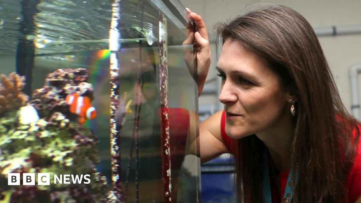Dr Michelle Taylor has long brown hair and is wearing a red top. She is looking at a large fish tank that has an orange clownfish swimming near her head.
