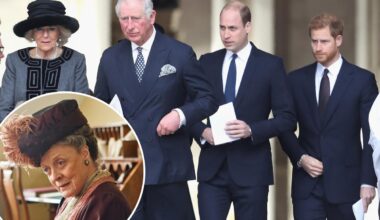 Prince Harry compares royal family drama to 'Downton Abbey'