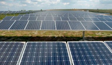 Planned solar park in Portugal raises concerns about environmental damage and local impact
