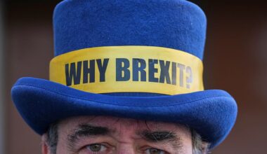 Fact check: How realistic is a bespoke EU-UK customs union?