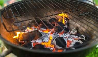Many charcoal barbecue products fall short of EU standards on composition and pollutant emissions