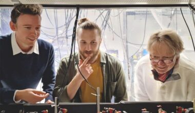 Atomic system acts like a quantum Newton’s cradle – Physics World