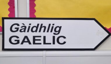 Volunteers sought for project to 'prepare Gaelic for AI age'