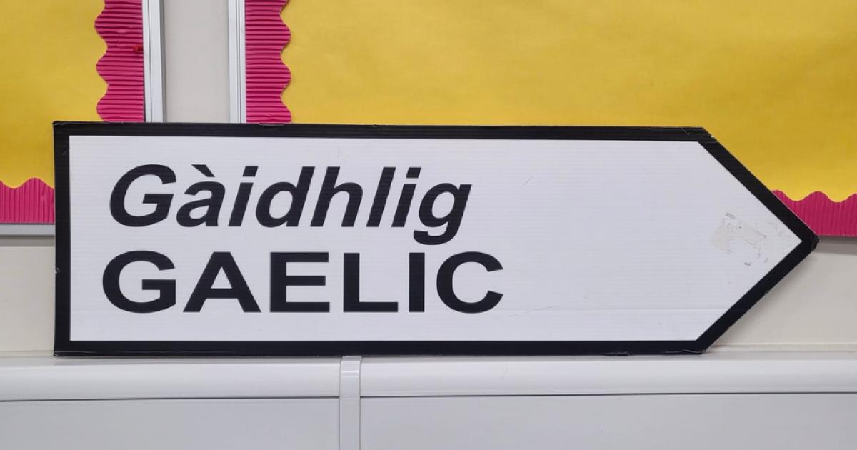 Volunteers sought for project to 'prepare Gaelic for AI age'