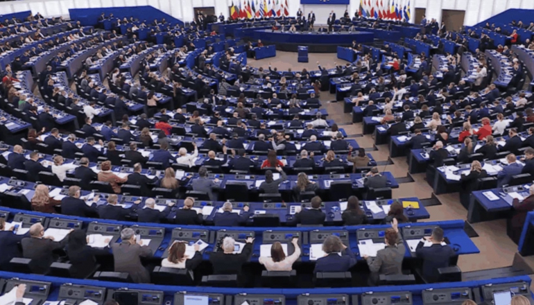 EU backs another one-year delay for EUDR anti-deforestation law | NEWS