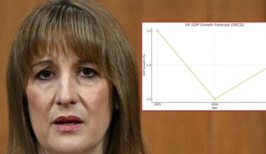 Britain heading for economic slowdown after Rachel Reeves's tax hikes, OECD warns