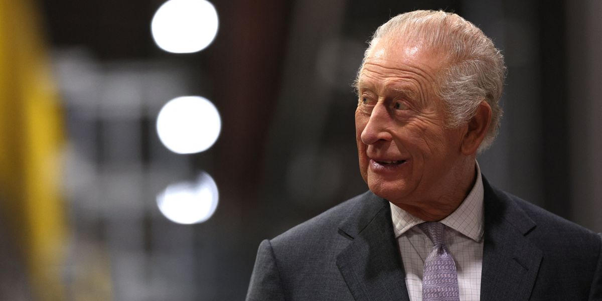 King Charles comes under fire as TV presenter delivers scathing assessment of monarch's 'horrible' project