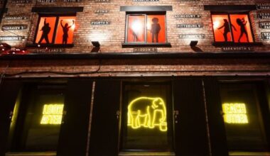Sheila the elephant: Neon tribute to elephant who beat the Belfast Blitz lights up Cathedral Quarter