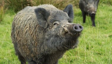 Nottinghamshire Live