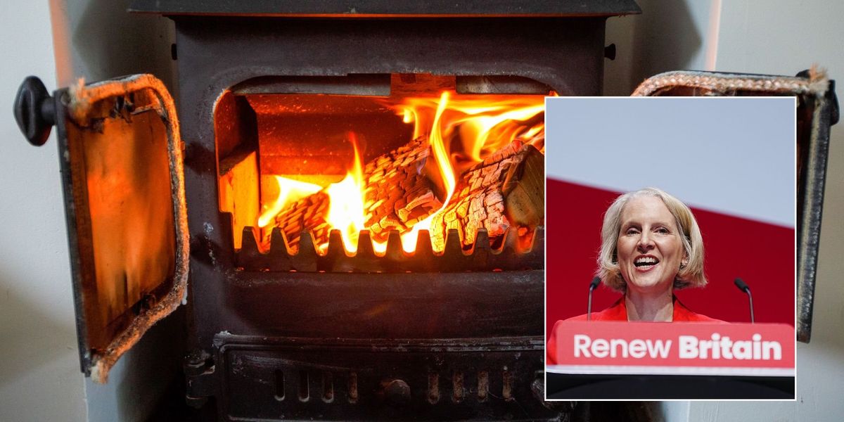 Labour plans to ban wood burners to bring Britain on par with EU