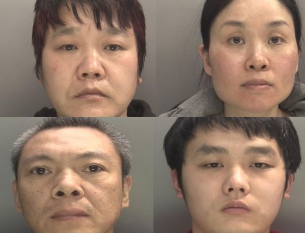 Top row left to right - Honpeng Yang, Mei Yun Wang. Bottom row: Xing Cai Lin, Zheming Han