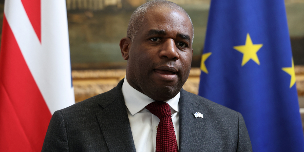 David Lammy opens door to rejoining EU customs union in anti-Brexit rant