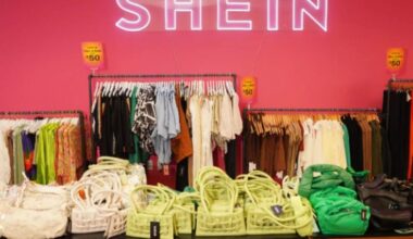 France targets Shein with temporary block