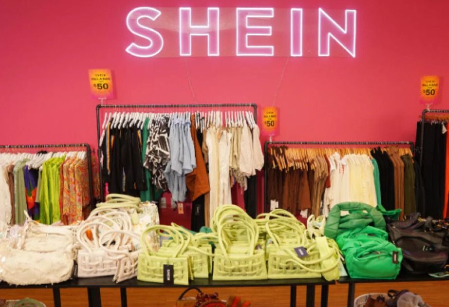 France targets Shein with temporary block