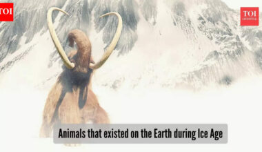 ​5 giant animals that roamed the Earth during the Ice Age​