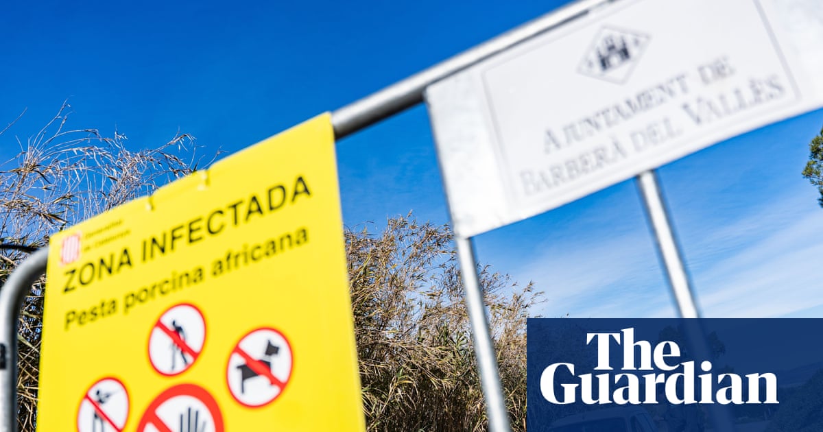African swine fever outbreak in Spain may have leaked from research lab, officials say | African swine fever