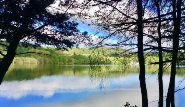 Manchester Evening News