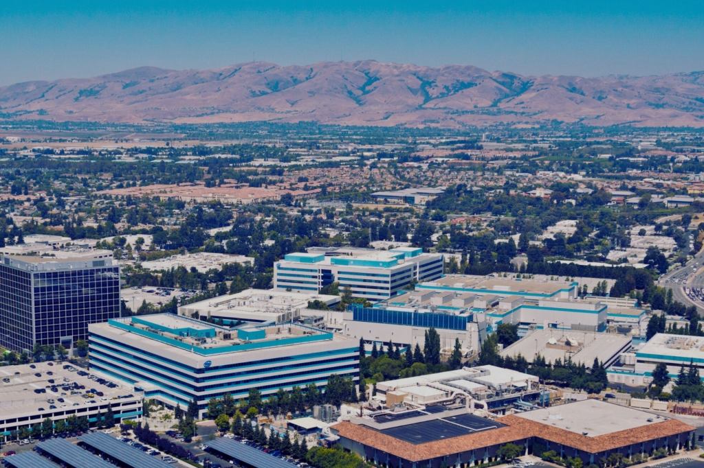 The Startup Scaling Playbook Silicon Valley Doesn't Want You to Know