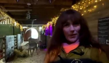 Reindeer farm owner hits out at council's decision to brand animals 'dangerous'