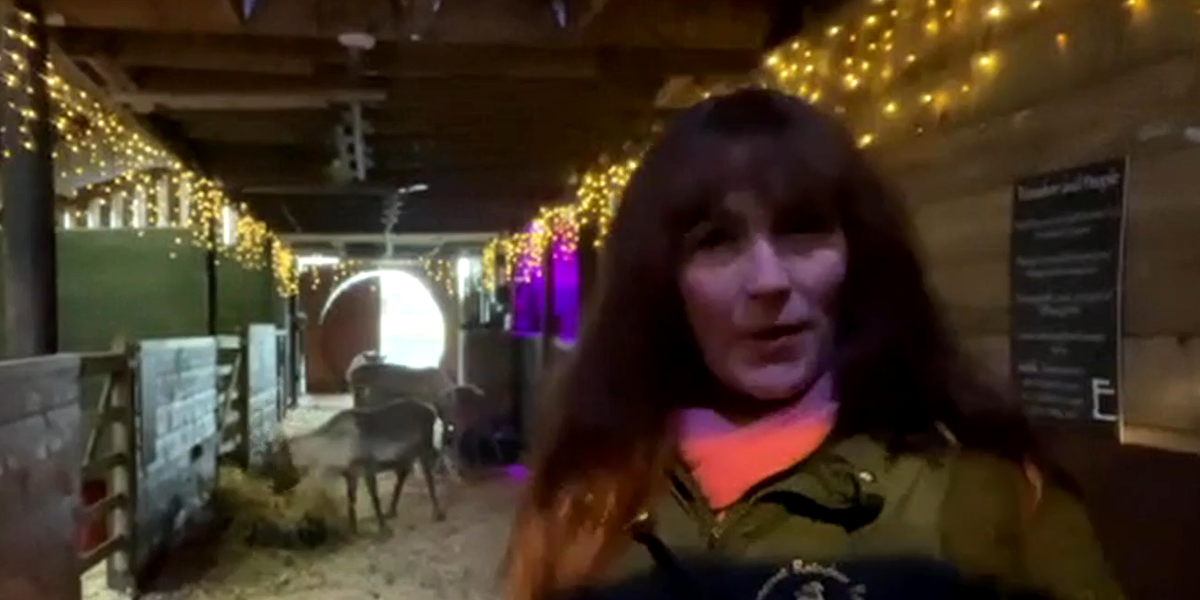 Reindeer farm owner hits out at council's decision to brand animals 'dangerous'