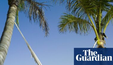 Travel firm Tui says it is using AI to create ‘inspirational’ videos | Tui Travel