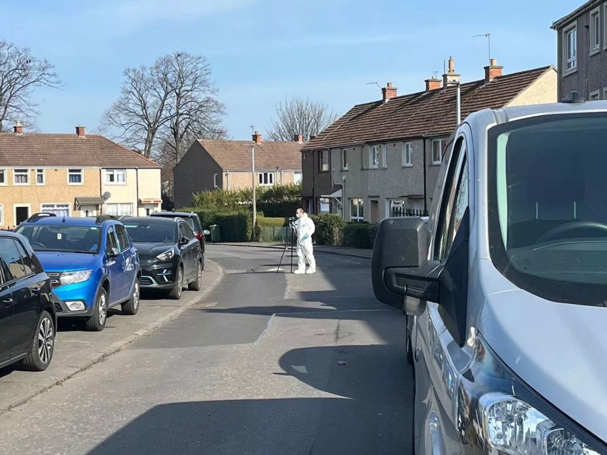 Forensic officers at the scene