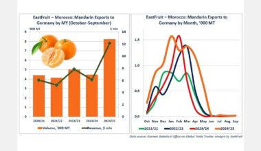 Morocco boosts mandarin and clementine exports to Germany