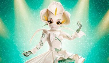 ‘The Masked Singer’ Season 14 reveals new costume