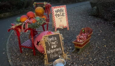 Video Player Placeholder