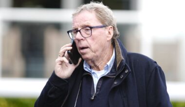 Harry Redknapp sparks neighbour row over third bid to demolish £1.5millin seaside house as verdict looms